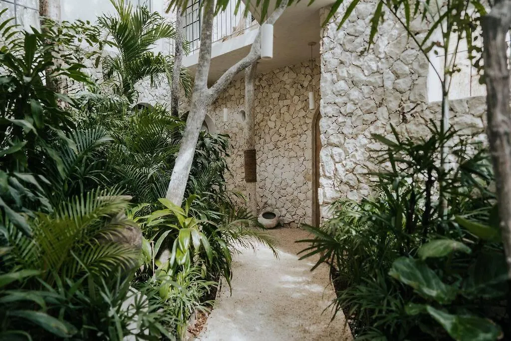 Apartment Design Casa Sandalo With Private Pool And Lounge Tulum Mexico