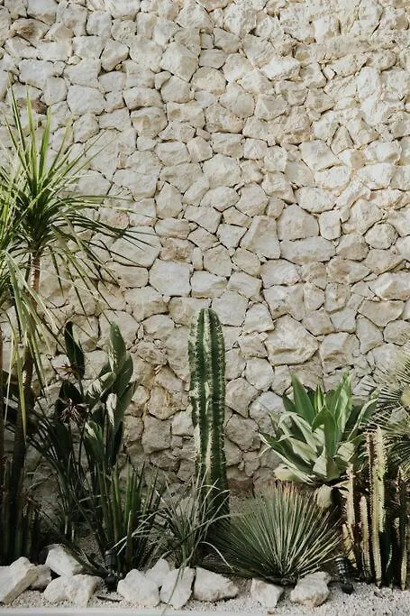 Design Casa Sandalo With Private Pool And Lounge Tulum 0*,
